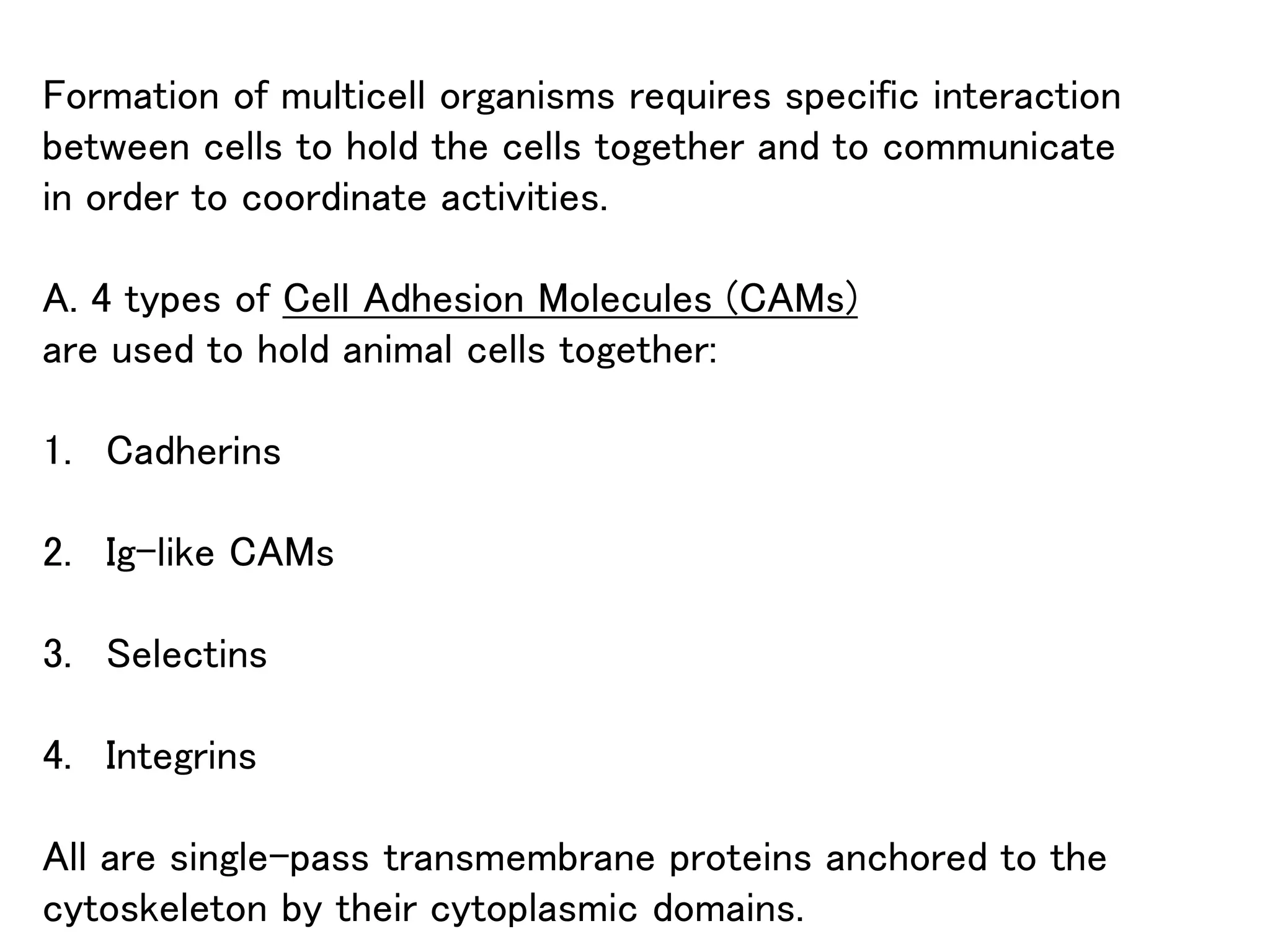 Formation of multicell organisms requires specific interaction
between cells to hold the cells together and to communicate
in order to coordinate activities.
A. 4 types of Cell Adhesion Molecules (CAMs)
are used to hold animal cells together:
1. Cadherins
2. Ig-like CAMs
3. Selectins
4. Integrins
All are single-pass transmembrane proteins anchored to the
cytoskeleton by their cytoplasmic domains.
 