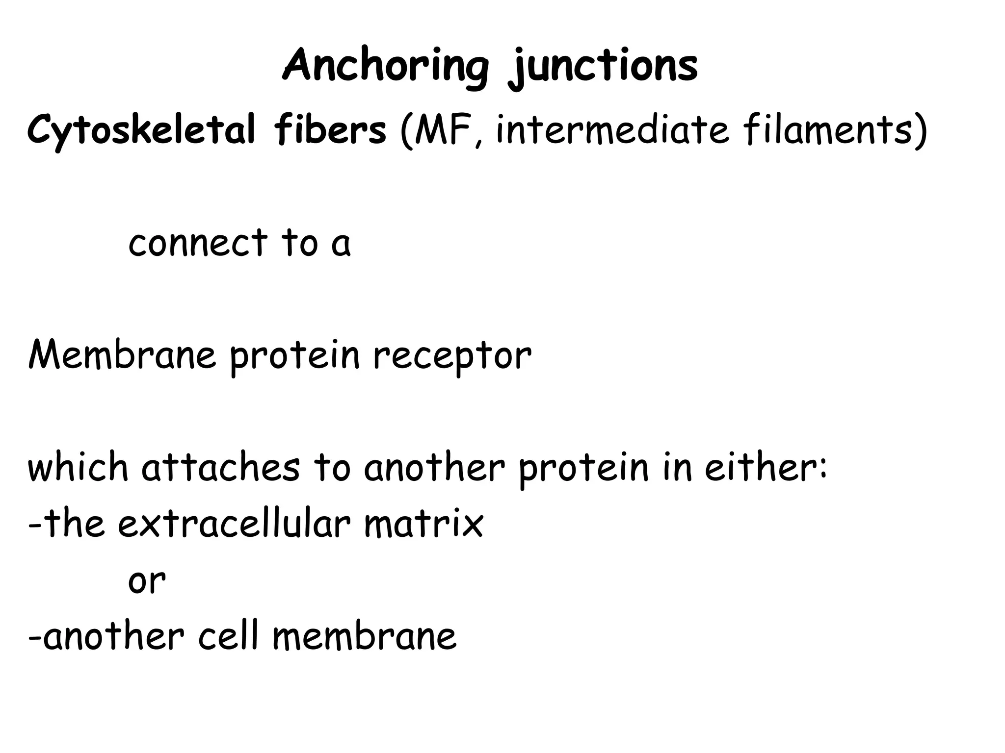 Anchoring junctions
Cytoskeletal fibers (MF, intermediate filaments)
connect to a
Membrane protein receptor
which attaches to another protein in either:
-the extracellular matrix
or
-another cell membrane
 