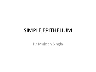 SIMPLE EPITHELIUM
Dr Mukesh Singla
 
