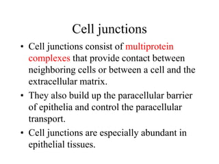 Cell junctions
• Cell junctions consist of multiprotein
complexes that provide contact between
neighboring cells or between a cell and the
extracellular matrix.
• They also build up the paracellular barrier
of epithelia and control the paracellular
transport.
• Cell junctions are especially abundant in
epithelial tissues.
 