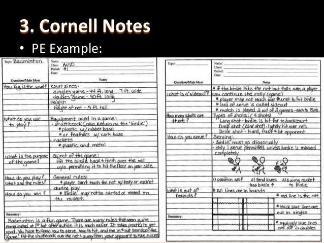 avid overview cornell notes avid notes