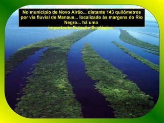 No município de Novo Airão... distante 143 quilômetros por via fluvial de Manaus... localizado às margens do Rio Negro... há uma  importante Estação Ecológica.  
