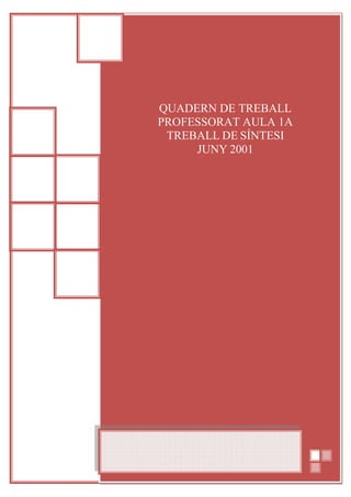 QUADERN DE TREBALL
PROFESSORAT AULA 1A
 TREBALL DE SÍNTESI
     JUNY 2001
 