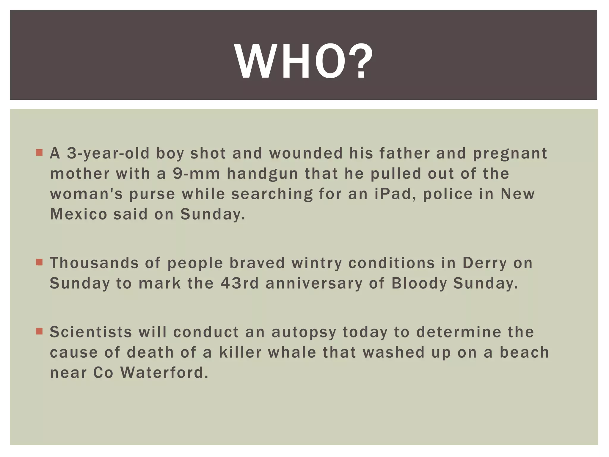  A 3-year-old boy shot and wounded his father and pregnant
mother with a 9-mm handgun that he pulled out of the
woman's purse while searching for an iPad, police in New
Mexico said on Sunday.
 Thousands of people braved wintry conditions in Derry on
Sunday to mark the 43rd anniversary of Bloody Sunday.
 Scientists will conduct an autopsy today to determine the
cause of death of a killer whale that washed up on a beach
near Co Waterford.
WHO?
 