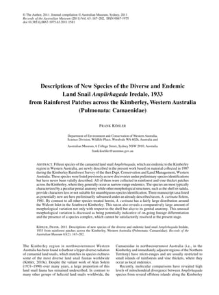 © The Author, 2011. Journal compilation © Australian Museum, Sydney, 2011
Records of the Australian Museum (2011) Vol. 63: 167–202. ISSN 0067-1975
doi:10.3853/j.0067-1975.63.2011.1581
Descriptions of New Species of the Diverse and Endemic
Land Snail Amplirhagada Iredale, 1933
from Rainforest Patches across the Kimberley, Western Australia
(Pulmonata: Camaenidae)
Frank Köhler
Department of Environment and Conservation of Western Australia,
Science Division, Wildlife Place, Woodvale WA 6026, Australia and
Australian Museum, 6 College Street, Sydney NSW 2010, Australia
frank.koehler@austmus.gov.au
Abstract. Fifteen species of the camaenid land snail Amplirhagada, which are endemic to the Kimberley
region in Western Australia, are newly described in the present work based on material collected in 1987
during the Kimberley Rainforest Survey of the then Dept. Conservation and Land Management, Western
Australia. These species were listed previously as new discoveries under preliminary species identifications
but have never been validly described. All of them were collected in rainforest and vine thicket patches
across the Kimberley, where they generally occur as narrow-range endemics. The species are most typically
characterized by a peculiar penial anatomy while other morphological structures, such as the shell or radula,
provide characters less or not suitable for unambiguous species identification. Three manuscript taxa listed
as potentially new are here preliminarily subsumed under an already described taxon, A. carinata Solem,
1981. By contrast to all other species treated herein, A. carinata has a fairly large distribution around
the Walcott Inlet in the Southwest Kimberley. This taxon also reveals a comparatively large amount of
morphological variation not only with respect to the shell but also to its genital anatomy. This unusual
morphological variation is discussed as being potentially indicative of on-going lineage differentiation
and the presence of a species complex, which cannot be satisfactorily resolved at the present stage.
Köhler, Frank. 2011. Descriptions of new species of the diverse and endemic land snail Amplirhagada Iredale,
1933 from rainforest patches across the Kimberley, Western Australia (Pulmonata: Camaenidae). Records of the
Australian Museum 63(2): 167–202.
The Kimberley region in northwesternmost Western
Australia has been found to harbour a hyper-diverse radiation
of camaenid land snails, which matches in species richness
some of the most diverse land snail faunas worldwide
(Köhler, 2010a). Despite the valiant work of Alan Solem
(1931–1990) over many years, a large proportion of this
land snail fauna has remained undescribed. In contrast to
many other groups of helicoid land snails worldwide, the
Camaenidae in northwesternmost Australia (i.e., in the
Kimberley and immediately adjacent regions of the Northern
Territory) have micro-ranges and are usually restricted to
small islands of rainforests and vine thickets, where they
occur as local endemics.
Recently, molecular comparisons have revealed high
levels of mitochondrial divergence between Amplirhagada
species from several offshore islands along the Kimberley
 