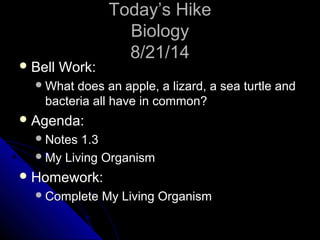 TTooddaayy’’ss HHiikkee 
BBiioollooggyy 
88//2211//1144 
BBeellll WWoorrkk:: 
WWhhaatt ddooeess aann aappppllee,, aa lliizzaarrdd,, aa sseeaa ttuurrttllee aanndd 
bbaacctteerriiaa aallll hhaavvee iinn ccoommmmoonn?? 
AAggeennddaa:: 
NNootteess 11..33 
MMyy LLiivviinngg OOrrggaanniissmm 
HHoommeewwoorrkk:: 
CCoommpplleettee MMyy LLiivviinngg OOrrggaanniissmm 
 