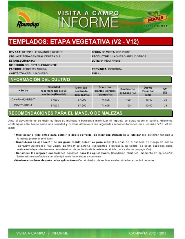 TEMPLADOS: ETAPA VEGETATIVA (V2 - V12)RTV / AA: HERNAN FERNANDEZ REUTER                                  FECHA DE VISITA: ...