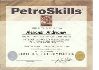 Андриянов А.В-Petro-Skills