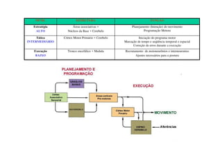 NIVEL ESTRUTURA FUNÇAO
Estratégia
ALTO
Áreas associativas +
Núcleos da Base + Cerebelo
Planejamento (Intenção) do movimento
Programação Motora
Tática
INTERMEDIÁRIO
Córtex Motor Primário + Cerebelo Iniciação do programa motor
Marcação de tempo e seqüência temporal e espacial
Correção de erros durante a execução
Execução
BAIXO
Tronco encefálico + Medula Recrutamento de motoneurônios e interneuronios
Ajustes necessários para a postura
 