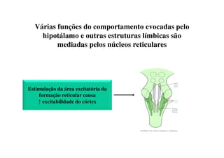Várias funções do comportamento evocadas pelo
hipotálamo e outras estruturas límbicas são
mediadas pelos núcleos reticulares
Estimulação da área excitatória da
formação reticular causa
↑ excitabilidade do córtex
 