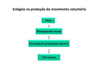 Estágios na produção do movimento voluntário
Idéia
Planejamento motor
Execução de programas motores
Movimento
 