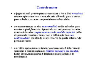 Controle motor
• o jogador está pronto para arremessar a bola. Seu neocórtex
está completamente ativado, ele esta olhando para a cesta,
para a bola e para os companheiros e adversário
• ao mesmo tempo as vias ventromediais estão ativadas para
manter a posição ereta. Apesar de seu corpo estar parado,
os neurônios dos corpos anteriores da medula espinhal estão
disparando constantemente sob a influência das vias
ventromediais, mantendo os extensores da parte inferior da
perna ativados
• o arbitro apita para ele iniciar o arremesso. A informação
sensorial é comunicada aos córtices parietal e pré-frontal.
Estas áreas, mais a área 6 iniciam o planejamento do
movimento
 