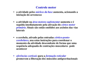 Controle motor
• a atividade pelos núcleos da base aumenta, acionando a
iniciação do arremesso
• a atividade na área motora suplementar aumenta e é
seguida imediatamente pela ativação do córtex motor
primário. Sinais são então emitidos aos axônios das vias
laterais
• o cerebelo, ativado pelas entradas córtico-ponto-
cerebelares, usa estas instruções para coordenar o
momento da atividade descendente de forma que uma
sequência adequada de contrações musculares pode
acontecer
• eferências corticais para a formação reticular
promovem a liberação dos músculos antigravitacionais
 