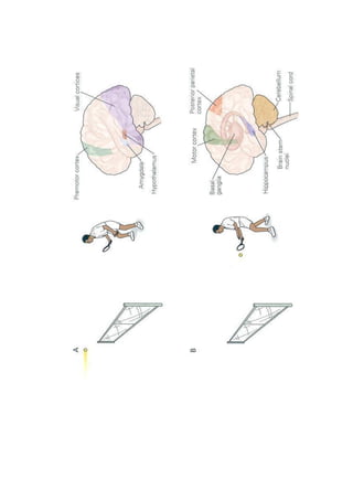 81ae7b_c3f09f974c054d17a9fe727f17efea13.pdf