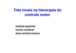 Três níveis na hierarquia do
controle motor
medula espinhal
tronco cerebral
área cortical motora
 