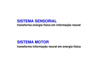 SISTEMA SENSORIAL
transforma energia física em informação neural
SISTEMA MOTOR
transforma informação neural em energia física
 