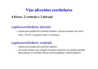 Vias aferentes cerebelares
4 feixes: 2 ventrais e 2 dorsais
espinocerebelares dorsais
– entram pelo pedúnculo cerebelar inferior e são provenientes dos fusos
musc., O.T.G., receptores táteis e articulares
espinocerebelares ventrais
– entram pelo pedúnculo cerebelar superior
– dos sinais motores que chegam às pontas anteriores da medula espinhal,
provenientes do encéfalo (feixes corticoespinhais e rubroespinhais)
 