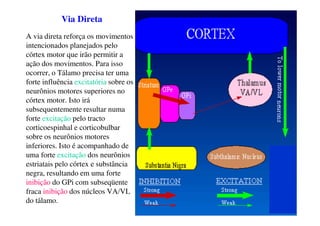 Via Direta
A via direta reforça os movimentos
intencionados planejados pelo
córtex motor que irão permitir a
ação dos movimentos. Para isso
ocorrer, o Tálamo precisa ter uma
forte influência excitatória sobre os
neurônios motores superiores no
córtex motor. Isto irá
subsequentemente resultar numa
forte excitação pelo tracto
corticoespinhal e corticobulbar
sobre os neurônios motores
inferiores. Isto é acompanhado de
uma forte excitação dos neurônios
estriatais pelo córtex e substância
negra, resultando em uma forte
inibição do GPi com subseqüente
fraca inibição dos núcleos VA/VL
do tálamo.
 