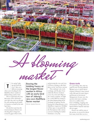 48 											 sandtonmag.co.za
Trends | groomingfeature
Words: Natalie Bosman
he saying “wake
up and smell the
roses” takes on a
different meaning
when you’re heading for the
Multiflora flower market in
Johannesburg south at 4am.
This is round about the time
that many of the wholesalers
start their day, and even though
I'm still yawning myself awake,
it’s business as usual by the time
I get there.
Already the team from the
renowned Jason’s Flowers are
checking their refrigerator
rooms for gaps in their stock,
and perusing the rows and rows
of flowers waiting to take their
places in the 7am flower auction.
This is Joburg’s other stock
exchange, and the place from
which the flowers of almost
every city, town and village in
the country originate. It might
be a vastly different setting to
the shiny Johannesburg Stock
Exchange in Sandton, but the
buying and selling that goes on in
Multiflora’s impressive 50 000m2
of floor space is uncannily like
the fluctuations of the various
currencies battling for market
dominance every day.
Grass roots
It’s a good thing, then, that my
guide for the morning (Shantal
Michael, niece to Jason Xavier
of Jason’s Flowers) comes armed
with a BComm Accounts degree
and honours in Investment
Management, because once the
auction clock starts counting
down it’s a ruthless three
hours of bidding, stopping only
momentarily to bring in the next
batch of flower bunches and start
all over again.
Flowers are sold by stem at
the auction, so you need to know
how many stems there are in a
A blooming
marketBraving the
bidding frenzy at
the largest flower
auction in Africa
with an early-bird
tour of Joburg’s
very own Multiflora
flower market
T
 