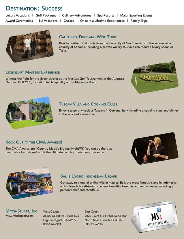 MSI Business Brochure PDF