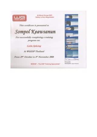 SOMPOL'S CV updated 16-Aug-2016