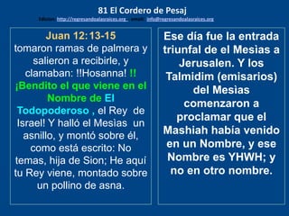 Juan 12:13-15
tomaron ramas de palmera y
salieron a recibirle, y
clamaban: !!Hosanna! !!
¡Bendito el que viene en el
Nombre de El
Todopoderoso , el Rey de
Israel! Y halló el Mesìas un
asnillo, y montó sobre él,
como está escrito: No
temas, hija de Sion; He aquí
tu Rey viene, montado sobre
un pollino de asna.
Ese día fue la entrada
triunfal de el Mesìas a
Jerusalen. Y los
Talmidim (emisarios)
del Mesìas
comenzaron a
proclamar que el
Mashiah había venido
en un Nombre, y ese
Nombre es YHWH; y
no en otro nombre.
81 El Cordero de Pesaj
Edicion: http://regresandoalasraices.org - email: info@regresandoalasraices.org
 