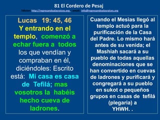 Lucas 19: 45, 46
Y entrando en el
templo, comenzó a
echar fuera a todos
los que vendían y
compraban en él,
diciéndoles: Escrito
está: Mi casa es casa
de Tefilá; mas
vosotros la habéis
hecho cueva de
ladrones.
Cuando el Mesìas llegó al
templo actuó para la
purificación de la Casa
del Padre. Lo mismo hará
antes de su venida; el
Mashiah sacará a su
pueblo de todas aquellas
denominaciones que se
han convertido en cuevas
de ladrones y purificará y
congregará a su pueblo
en sukot o pequeños
grupos en casas de tefilá
(plegaria) a
YHWH. .
81 El Cordero de Pesaj
Edicion: http://regresandoalasraices.org - email: info@regresandoalasraices.org
 