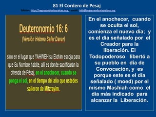 los emisarios. Y les dijo: !!
Cuánto he deseado comer
con vosotros
En el anochecer, cuando
se oculta el sol,
comienza el nuevo día; y
es el día señalado por el
Creador para la
liberación. El
Todopoderoso libertó a
su pueblo en día de
Convocación, y es
porque este es el día
señalado ( moed) por el
mismo Mashiah como el
día más indicado para
alcanzar la Liberación.
81 El Cordero de Pesaj
Edicion: http://regresandoalasraices.org - email: info@regresandoalasraices.org
 