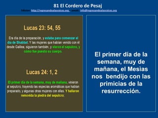 los emisarios. Y les dijo: !!
Cuánto he deseado comer
con vosotros
El primer día de la
semana, muy de
mañana, el Mesìas
nos bendijo con las
primicias de la
resurrección.
81 El Cordero de Pesaj
Edicion: http://regresandoalasraices.org - email: info@regresandoalasraices.org
 