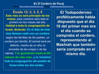 Éxodo 12: 2, 3, 5, 6
Este mes os será principio de los
meses; para vosotros será éste el
primero en los meses del año.
Hablad a toda la congregación de
Israel, diciendo: En el diez de este
mes tómese cada uno un cordero
según las familias de los padres, un
cordero por familia. El animal será sin
defecto, macho de un año; lo
tomaréis de las ovejas o de las
cabras. Y lo guardaréis hasta el día
catorce de este mes, y lo inmolará
toda la congregación del pueblo de
Israel entre las dos tardes.
El Todopoderoso
proféticamente había
dispuesto que el día
10 del primer mes era
el día cuando se
compraba el cordero,
representando al
Mashiah que también
sería comprado en el
mismo día.
81 El Cordero de Pesaj
Edicion: http://regresandoalasraices.org - email: info@regresandoalasraices.org
 