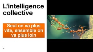 16
L’intelligence
collective
Seul on va plus
vite, ensemble on
va plus loin
 