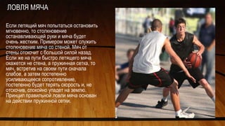 ЛОВЛЯ МЯЧА
Если летящий мяч попытаться остановить
мгновенно, то столкновение
останавливающей руки и мяча будет
очень жестким. Примером может служить
столкновение мяча со стеной. Мяч от
стены отскочит с большой силой назад.
Если же на пути быстро летящего мяча
окажется не стена, а пружинная сетка, то
мяч, встретив на своем пути сначала
слабое, а затем постепенно
усиливающееся сопротивление,
постепенно будет терять скорость и, не
отскочив, спокойно упадет на землю.
Принцип правильной ловли мяча основан
на действии пружинной сетки.
 