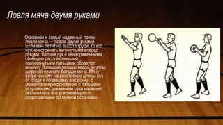 Ловля мяча двумя руками
Основной и самый надежный прием
ловли мяча — ловля двумя руками.
Если мяч летит на высоте груди, то его
нужно встречать вытянутыми вперед
руками. Ладони рук с ненапряженными,
свободно расставленными,
полусогнутыми пальцами образуют
воронку (большие пальцы вверх, внутрь)
шириной немного больше мяча. Мячу,
встреченному на расстоянии длины рук
от груди и попавшему в воронку, с
момента соприкосновения с пальцами
уступающим движением руки начинает
оказываться все усиливающееся
сопротивление до полной остановки
 
