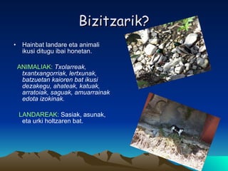 Bizitzarik? Hainbat landare eta animali ikusi ditugu ibai honetan. ANIMALIAK:  Txolarreak, txantxangorriak,  lertxunak ,  batzuetan kaioren bat ikusi dezakegu, ahateak, katuak, arratoiak, saguak, amuarrainak edota izokinak. LANDAREAK:  Sasiak, asunak, eta urki holtzaren bat. 