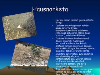 Hausnarketa Nerbioi ibaian hainbat gauza aztertu ditugu: Ibaiaren deskribapenean hainbat gauza aztertu ditugu, esanguratsuena bere zabaleran, (10m-koa), sakoneran (50cm-koa), luzeran (Urduñatik- Bilbora). Ibaiaren bizitzan hainbat animali daude, arrainak, txolarreak, lertxunak eta batzutan kaioak, ahateak, katuak, arratoiak, saguak… eta aurkitu ditugun landareak,  hauek izan dira: sasiak, eta Urki haltza. Ikusitako azterketan, gure ondorioa oso zikina dagoela, eta kontaminatuta ere. Uretan konoak, bizikletak, trafiko seinaleak, plastikozko poltsak, eta mota horretako zaborrak daude. Gure ondorio orokorra, hau da: gure herriak ez duela oso ondo zaintzen ibaia. Jendea dago, zaborra botatzen duela Nerbioi ibaira. Beraz, askoz hobeto zaindu behar dugu ibaia eta zaborrak ez botatzea. 