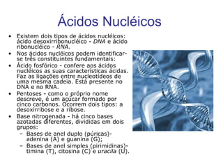 Ácidos Nucléicos   Existem dois tipos de ácidos nucléicos: ácido desoxirribonucléico -  DNA  e ácido ribonucléico -  RNA . Nos ácidos nucléicos podem identificar-se três constituintes fundamentais: Ácido fosfórico - confere aos ácidos nucléicos as suas características ácidas. Faz as ligações entre nucleotídeos de uma mesma cadeia. Está presente no DNA e no RNA.  Pentoses - como o próprio nome descreve, é um açúcar formado por cinco carbonos. Ocorrem dois tipos: a desoxirribose e a ribose.  Base nitrogenada - há cinco bases azotadas diferentes, divididas em dois grupos:  Bases de anel duplo (púricas)- adenina (A) e guanina (G);  Bases de anel simples (pirimidinas)- timina (T), citosina (C) e  uracila  (U).  