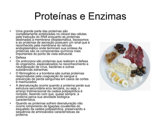 Proteínas e Enzimas Uma grande parte das proteínas são completamente sintetizadas no citosol das células pela tradução do  RNA  enquanto as proteínas destinadas à membrana citoplasmática, lisossomos e as proteínas de secreção possuem um sinal que é reconhecido pela membrana do retículo endoplasmático onde terminam sua síntese.As proteínas são os componentes químicos mais importantes do ponto de vista estrutural. Defesa Os  anticorpos  são proteínas que realizam a defesa do organismo, especializados no reconhecimento e neutralização de vírus, bactérias e outras substâncias estranhas. O fibrinogênio e a trombina são outras proteínas responsáveis pela  coagulação  do sangue e prevenção de perda sanguínea em casos de cortes e machucados A desnaturação ocorre quando a proteína perde sua estrutura secundária e/ou terciária, ou seja, o arranjo tridimensional da cadeia polipeptídica é rompido, fazendo com que, quase sempre, a proteína perca sua atividade biológica característica. Quando as proteínas sofrem desnaturação não ocorre rompimento de ligações covalentes do esqueleto da cadeia polipeptídica, preservando a seqüência de aminoácidos características da proteína. 
