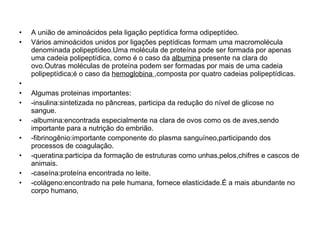 A união de aminoácidos pela ligação peptídica forma odipeptídeo. Vários aminoácidos unidos por ligações peptídicas formam uma macromolécula denominada polipeptídeo.Uma molécula de proteína pode ser formada por apenas uma cadeia polipeptídica, como é o caso da  albumina  presente na clara do ovo.Outras moléculas de proteína podem ser formadas por mais de uma cadeia polipeptídica;é o caso da  hemoglobina  ,composta por quatro cadeias polipeptídicas. Algumas proteinas importantes: -insulina:sintetizada no pâncreas, participa da redução do nível de glicose no sangue. -albumina:encontrada especialmente na clara de ovos como os de aves,sendo importante para a nutrição do embrião. -fibrinogênio:importante componente do plasma sanguíneo,participando dos processos de coagulação. -queratina:participa da formação de estruturas como unhas,pelos,chifres e cascos de animais. -caseína:proteína encontrada no leite. -colágeno:encontrado na pele humana, fornece elasticidade.É a mais abundante no corpo humano, 