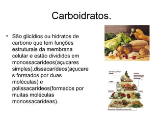 Carboidratos. São glicídios ou hidratos de carbono que tem funções estruturais da membrana celular e estão divididos em monossacarídeos(açucares simples),dissacarídeos(açucares formados por duas moléculas) e polissacarídeos(formados por muitas moléculas monossacarídeas).