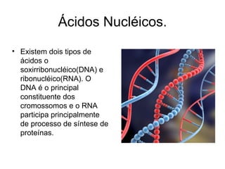 Ácidos Nucléicos. Existem dois tipos de ácidos o soxirribonucléico(DNA) e ribonucléico(RNA). O DNA é o principal constituente dos cromossomos e o RNA participa principalmente de processo de síntese de proteínas.