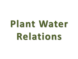 Plant Water
Relations
 