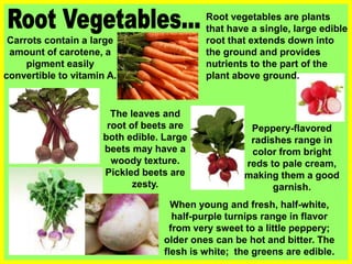 Carrots contain a large
amount of carotene, a
pigment easily
convertible to vitamin A.
The leaves and
root of beets are
both edible. Large
beets may have a
woody texture.
Pickled beets are
zesty.
When young and fresh, half-white,
half-purple turnips range in flavor
from very sweet to a little peppery;
older ones can be hot and bitter. The
flesh is white; the greens are edible.
Peppery-flavored
radishes range in
color from bright
reds to pale cream,
making them a good
garnish.
Root vegetables are plants
that have a single, large edible
root that extends down into
the ground and provides
nutrients to the part of the
plant above ground.
 