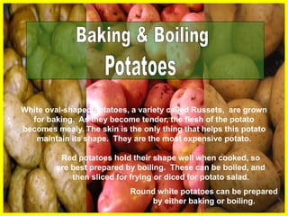 White oval-shaped potatoes, a variety called Russets, are grown
for baking. As they become tender, the flesh of the potato
becomes mealy. The skin is the only thing that helps this potato
maintain its shape. They are the most expensive potato.
Red potatoes hold their shape well when cooked, so
are best prepared by boiling. These can be boiled, and
then sliced for frying or diced for potato salad.
Round white potatoes can be prepared
by either baking or boiling.
 