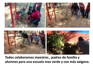 Todos colaboramos maestros , padres de familia y
alumnos para una escuela mas verde y con más oxigeno.
 