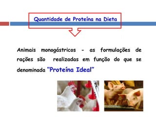  Proteínas na alimentação animal