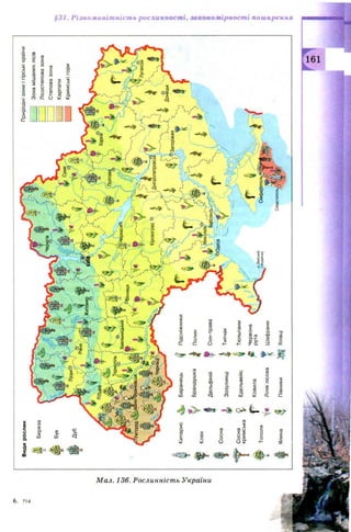 Мал. 136. Рослинність України
Природнізониігірськікраїни
]Зонамішанихлісів
]Лісостеповазона
]Степовазона
]Карпати
]Кримськігори
рослин
Луцько^
Житоми:
©Львів
Тернопіль
>ХмельницькийІ
©Вінниця}•
Луганськ
ДніпропетровськКіровоград©
п0
Донецьк
іпоріжжя
КипарисБаранецьПідсніжники
БрандушкаПолин
Миколаїв
Дельфіній
Сосна
ТипчакЗозулинці
Сосна
кримська
ТюльпаниЕдельвейс
Червона
рутаКовила
о.Зміїний
(Україна)Сімферополь*Тополя
Ліліялісова^Шафрани
ЯлівціПівникиЯлина
§31. Різноманітність рослинності, закономірності поширення
 