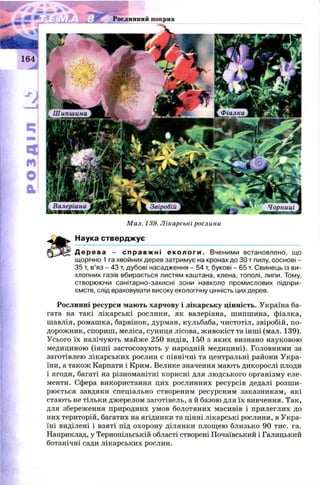ФіалкаШипшина
Валеріана Звіробій
Мал. 139. Лікарські рослини
Наука стверджує
Д е р е в а - с п р а в ж н і е к о л о г и . Вченими встановлено, що
щорічно 1 га хвойних дерев затримує на кронах до ЗОт пилу, соснові -
35 т, в’яз - 43 т, дубові насадження - 54 т, букові - 65 т. Свинець із ви­
хлопних газів вбирається листям каштана, клена, тополі, липи. Тому,
створюючи санітарно-захисні зони навколо промислових підпри­
ємств, слід враховувати високу екологічну цінність цих дерев.
Рослинні ресурси мають харчову і лікарську цінність. Україна ба­
гата на такі лікарські рослини, як валеріана, шипшина, фіалка,
шавлія, ромашка, барвінок, дурман, кульбаба, чистотіл, звіробій, по­
дорожник, спориш, меліса, суниця лісова, ж ивокіст та інші (мал. 139).
Усього їх налічують майже 250 видів, 150 з яких визнано науковою
медициною (інш і застосовують у народній медицині). Головними за
заготівлею лікарських рослин є північні та центральні райони Укра­
їни, а також Карпати і Крим. Велике значення мають дикорослі плоди
і ягоди, багаті на різноманітні корисні для лю дського організму еле­
менти. Сфера використання цих рослинних ресурсів дедалі розш и­
рюється завдяки спеціально створеним ресурсним заказникам, які
стають не тільки джерелом заготівель, а й базою для їх вивчення. Так,
для збереження природних умов болотяних масивів і прилеглих до
них територій, багатих на ягідники та цінні лікарські рослини, в Укра­
їні виділені і взяті під охорону ділянки площею близько 90 тис. га.
Наприклад, у Тернопільській області створені Почаївський і Галицький
ботанічні сади лікарських рослин.
у г Рослинний покрив
Чорниці
 