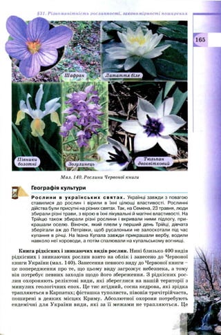 $31. Різноманітність рослинності, закономірності поширення
Мал. 140. Рослини Червоної книги
Географія культури
Ро сл и ни в у к р а ї н с ь к и х с в я тах. Українці завжди з повагою
ставилися до рослин і вірили в їхні цілющі властивості. Рослинні
дійства були присутні на різних святах. Так, на Семена, 23 травня, люди
збирали різні трави, з вірою в їхні лікувальні й магічні властивості. На
Трійцю також збирали різні рослини і вкривали ними підлогу, при­
крашали оселю. Віночок, який плели у перший день Трійці, дівчата
зберігали аж до Петрівки, щоб русалоньки не залоскотали під час
купання в річці. На Івана Купала завжди прикрашали вербу, водили
навколо неї хороводи, а потім спалювали на купальському вогнищі.
Книга рідкісних і зникаючих видів рослин. Нині близько 400 вї
рідкісних і зникаючих рослин взято на облік і занесено до Червс
книги України (мал. 140). Занесення певного виду до Червоної книі
це попередження про те, що цьому виду загрожує небезпека, а ті
він потребує певних заходів щодо його збереження. З рідкісних і
лин охороняють реліктові види, які збереглися на нашій територ
минулих геологічних епох. Це тис ягідний, сосна кедрова, які зрі
трапляються в Карпатах; фісташка туполиста, півонія тричітрійча»
поширені в деяких місцях Криму. Абсолю тної охорони потребу]
ендемічні для України види, які за її меж ами не трапляються.
Б
 
