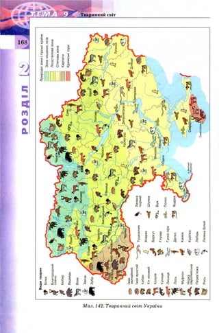 Мал. 142. Тваринний світ України
РОЗДІЛ
Благородний
олень
Видитварин
Білка
*jfБобер
Ведмідь
Вовк
Заєць
V^ЛЬВІВ
ЗубрС°
Природнізониігірськікраїни
]Зонамішанихлісів
]Лісостеповазона
1Степовазона
Карпати
ияКримськігори
їжак
звичайний
фїжаквухатийТушканчик
Кабан
тКітлісовий
Козуля
Куниця
Лисиця
Л°сь
Муфлон
Норка
європейська
ЩПерев’язка
Ш?3гРись
лХоврах
Беркут
№
Глухар
Гускасіра
І
Дятел
Канюк
Куріпка
Лебідь
Лелекабілий
 