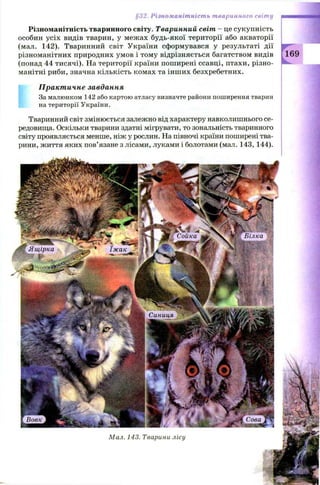 §32. Різноманітність тваринного світу
Різноманітність тваринного світу. Тваринний світ - це сукупність
особин усіх видів тварин, у межах будь-якої території або акваторії
(мал. 142). Тваринний світ України сформувався у результаті дії
різноманітних природних умов і тому відрізняється багатством видів
(понад 44 тисячі). На території країни поширені ссавці, птахи, різно­
манітні риби, значна кількість комах та інш их безхребетних.
Практичне завдання
За малюнком 142 або картою атласу визначте райони поширення тварин
на території України.
Тваринний світ змінюється залежно від характеру навколишнього се­
редовища. Оскільки тварини здатні мігрувати, то зональність тваринного
світу проявляється менше, ніж у рослин. На півночі країни поширені тва­
рини, життя яких пов’язане з лісами, луками і болотами (мал. 143, 144).
ШЯИШЯНШшттщ
169
 
